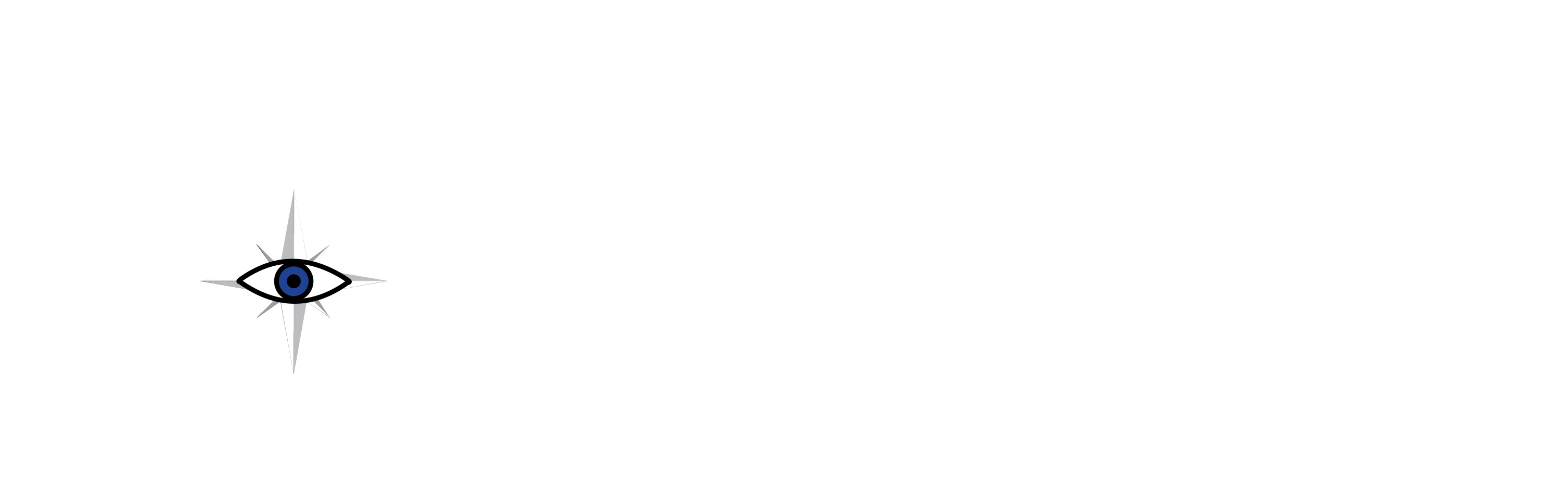 Ronin South Africa
